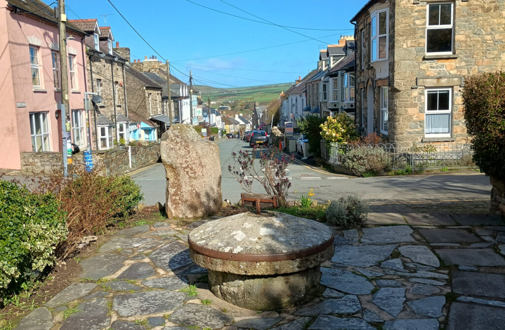 Friends Garden - looking north